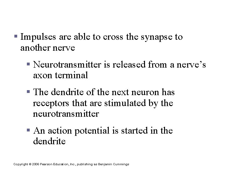Continuation of the Nerve Impulse between Neurons § Impulses are able to cross the