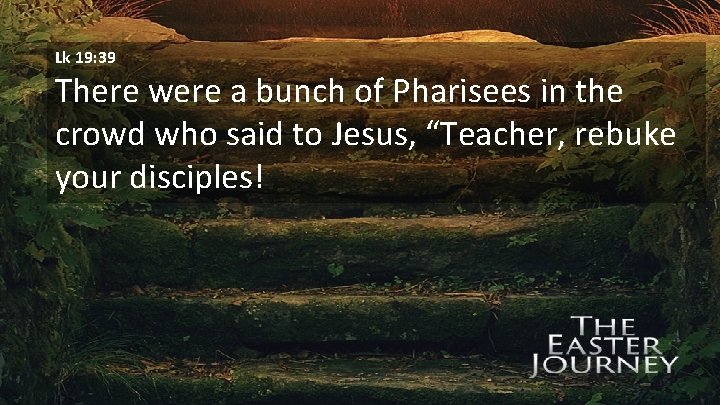 Lk 19: 39 There were a bunch of Pharisees in the crowd who said