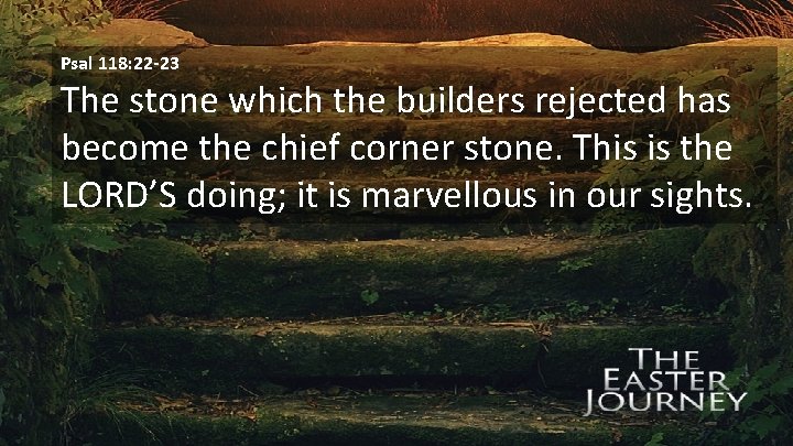 Psal 118: 22 -23 The stone which the builders rejected has become the chief