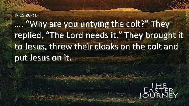 Lk 19: 28 -31 …. “Why are you untying the colt? ” They replied,