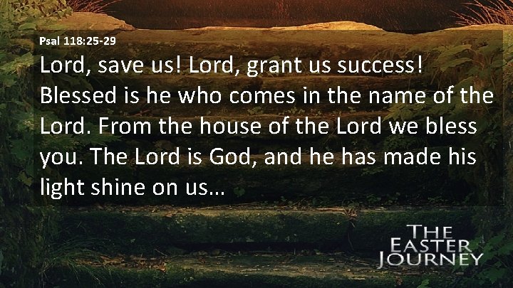 Psal 118: 25 -29 Lord, save us! Lord, grant us success! Blessed is he