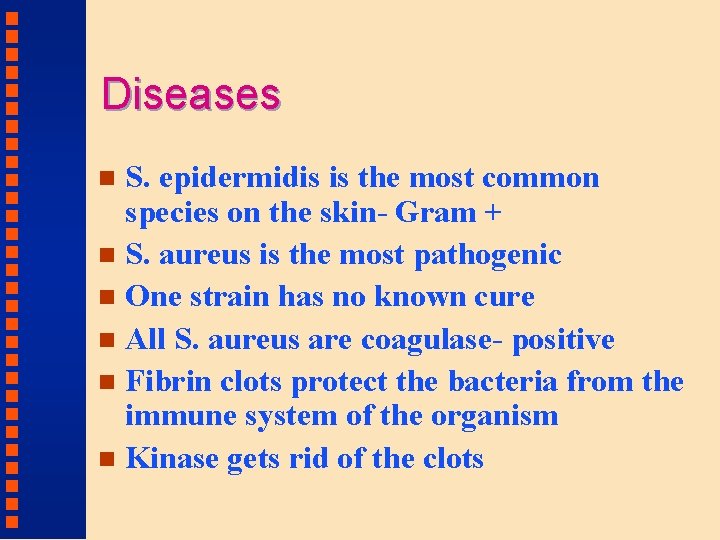 Diseases S. epidermidis is the most common species on the skin- Gram + n