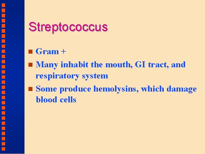 Streptococcus Gram + n Many inhabit the mouth, GI tract, and respiratory system n