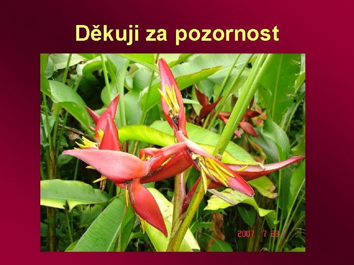 Děkuji za pozornost 