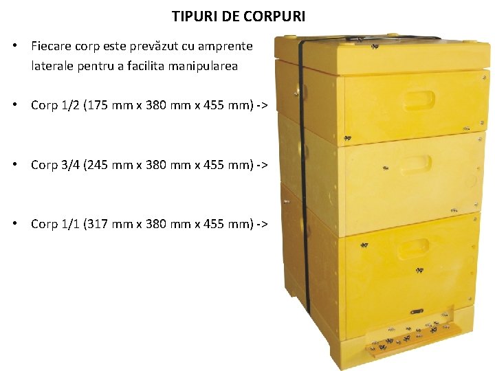 TIPURI DE CORPURI • Fiecare corp este prevăzut cu amprente laterale pentru a facilita TIPURI DE CORPURI • Fiecare corp este prevăzut cu amprente laterale pentru a facilita