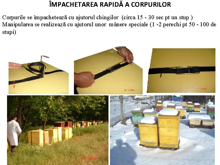 ÎMPACHETAREA RAPIDĂ A CORPURILOR Corpurile se împachetează cu ajutorul chingilor (circa 15 - 30 ÎMPACHETAREA RAPIDĂ A CORPURILOR Corpurile se împachetează cu ajutorul chingilor (circa 15 - 30