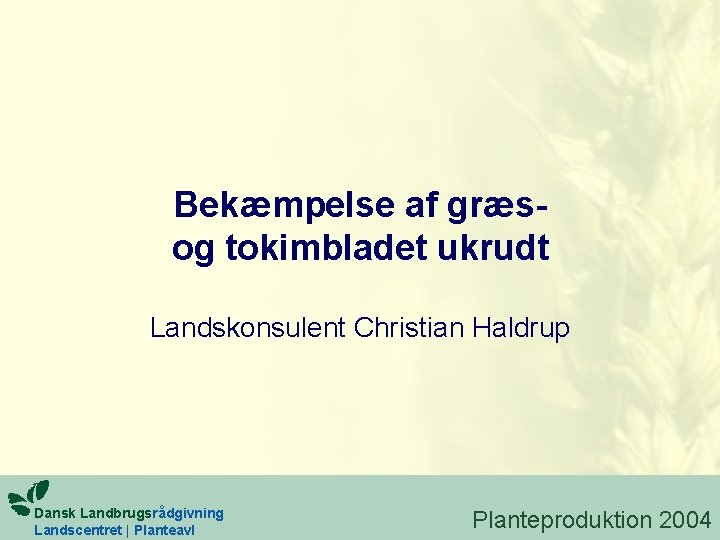 Bekæmpelse af græsog tokimbladet ukrudt Landskonsulent Christian Haldrup Dansk Landbrugsrådgivning Landscentret | Planteavl Planteproduktion