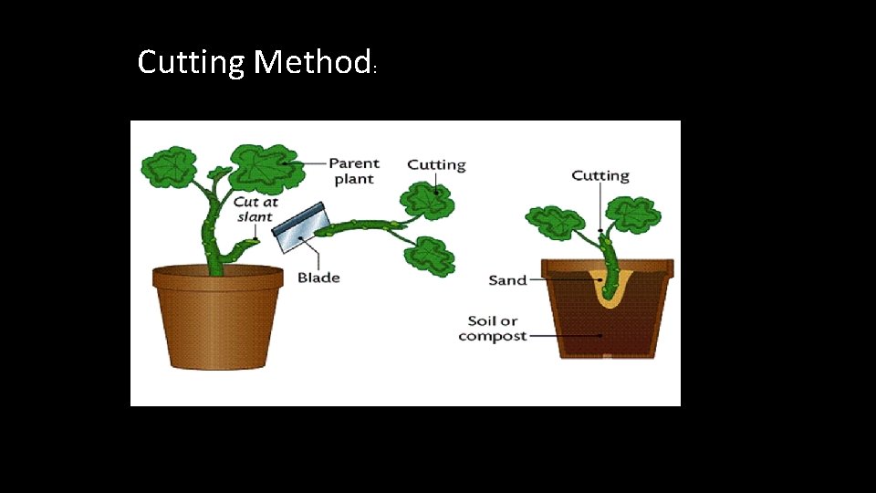 Cutting Method: 