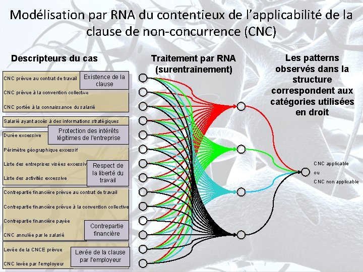 Modélisation par RNA du contentieux de l’applicabilité de la clause de non-concurrence (CNC) Descripteurs Modélisation par RNA du contentieux de l’applicabilité de la clause de non-concurrence (CNC) Descripteurs