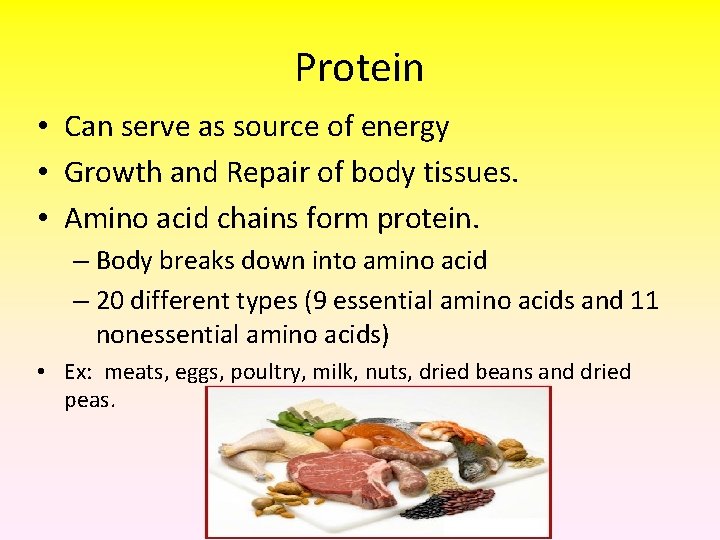 Protein • Can serve as source of energy • Growth and Repair of body