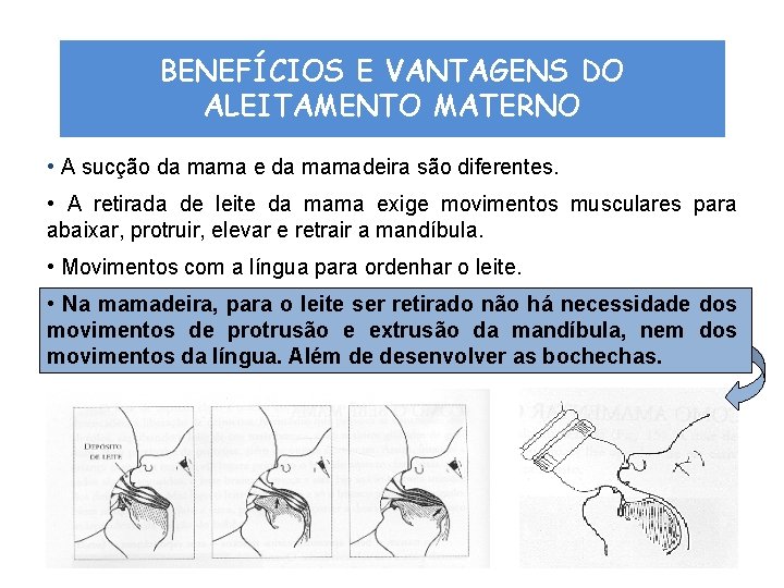 BENEFÍCIOS E VANTAGENS DO ALEITAMENTO MATERNO • A sucção da mama e da mamadeira