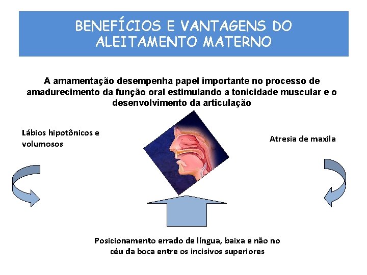 BENEFÍCIOS E VANTAGENS DO ALEITAMENTO MATERNO A amamentação desempenha papel importante no processo de