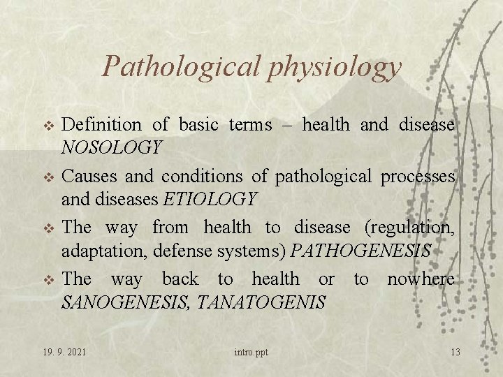 Pathological physiology v v Definition of basic terms – health and disease NOSOLOGY Causes