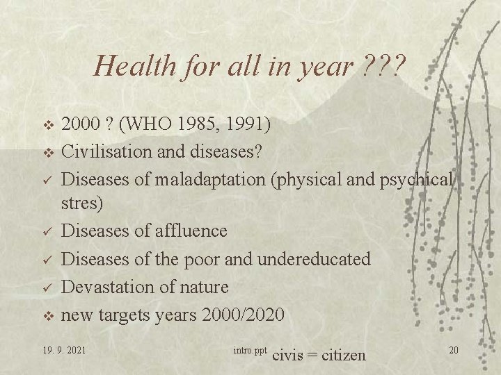 Health for all in year ? ? ? v v ü ü v 2000