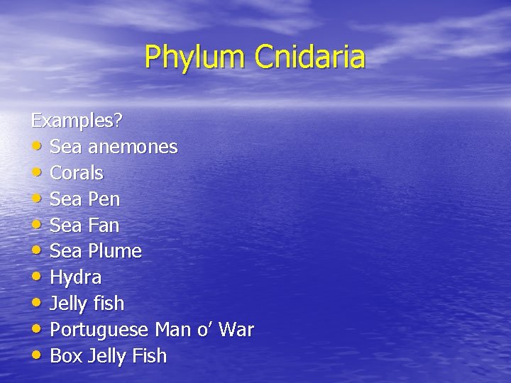 Phylum Cnidaria Examples? • Sea anemones • Corals • Sea Pen • Sea Fan