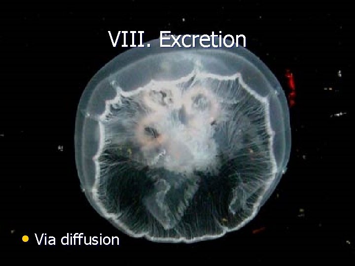 VIII. Excretion • Via diffusion 