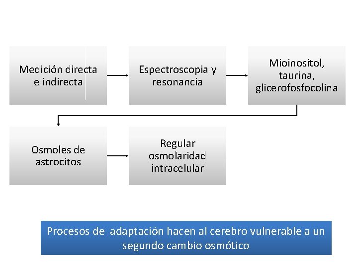 Medición directa e indirecta Espectroscopia y resonancia Osmoles de astrocitos Regular osmolaridad intracelular Mioinositol,