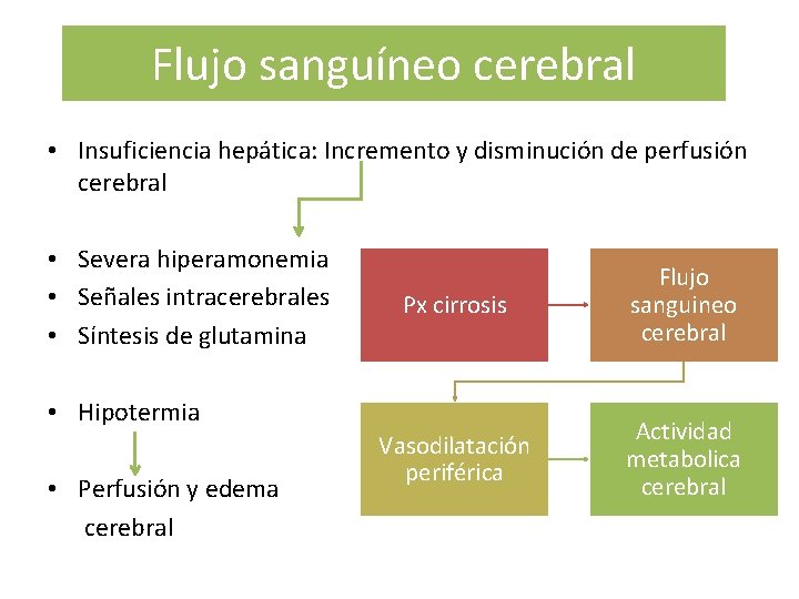 Flujo sanguíneo cerebral • Insuficiencia hepática: Incremento y disminución de perfusión cerebral • Severa