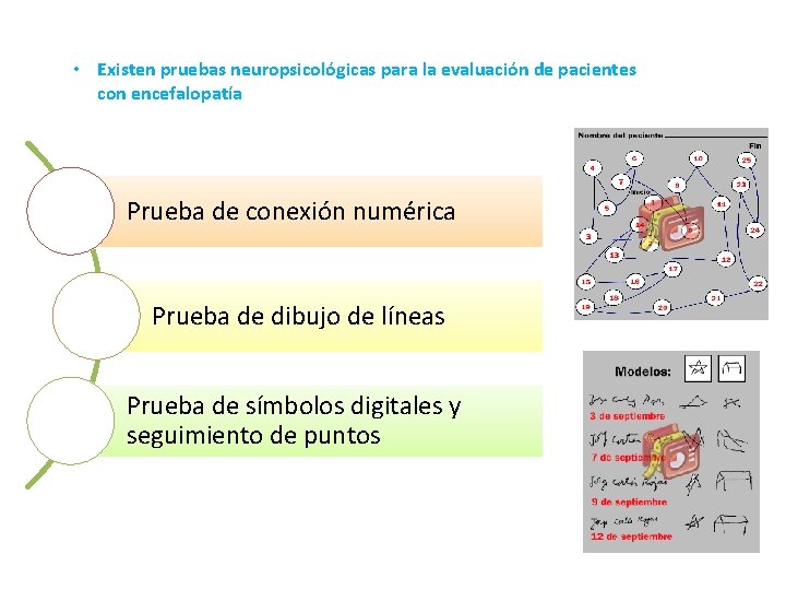  • Existen pruebas neuropsicológicas para la evaluación de pacientes con encefalopatía Prueba de