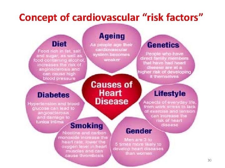 Concept of cardiovascular “risk factors” 30 