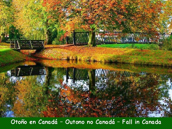 Otoño en Canadá – Outono no Canadá – Fall in Canada 
