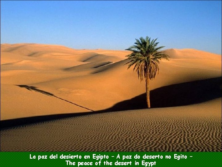 La paz del desierto en Egipto – A paz do deserto no Egito –