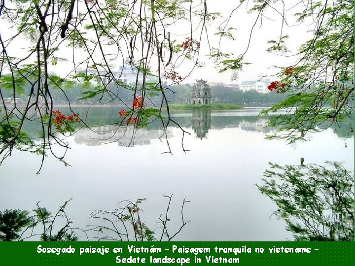 Sosegado paisaje en Vietnám – Paisagem tranquila no vietename – Sedate landscape in Vietnam