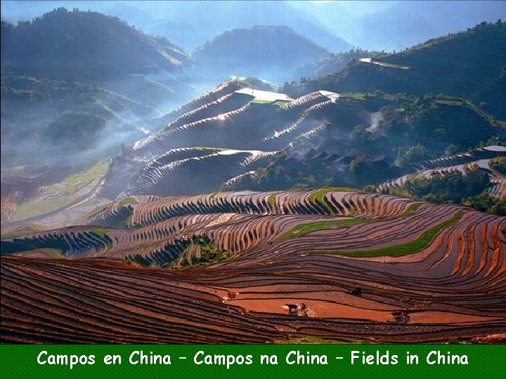 Campos en China – Campos na China – Fields in China 