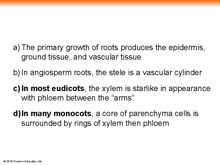 a) The primary growth of roots produces the epidermis, ground tissue, and vascular tissue