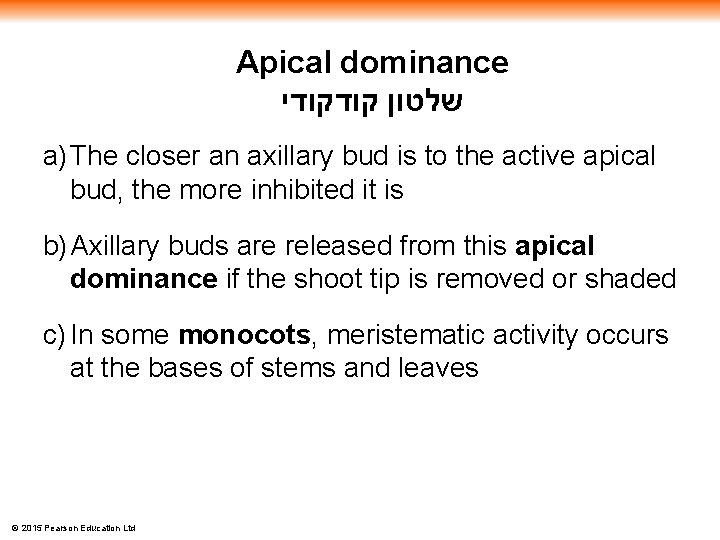 Apical dominance שלטון קודקודי a) The closer an axillary bud is to the active