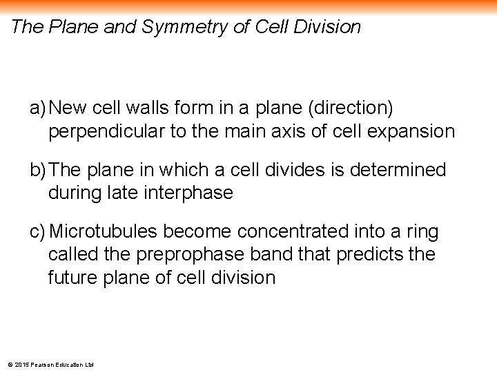 The Plane and Symmetry of Cell Division a) New cell walls form in a