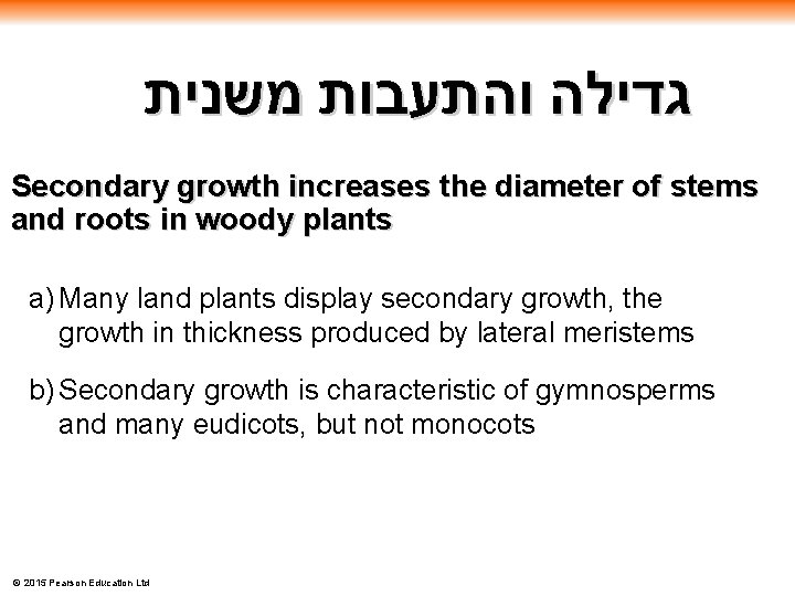  גדילה והתעבות משנית Secondary growth increases the diameter of stems and roots in