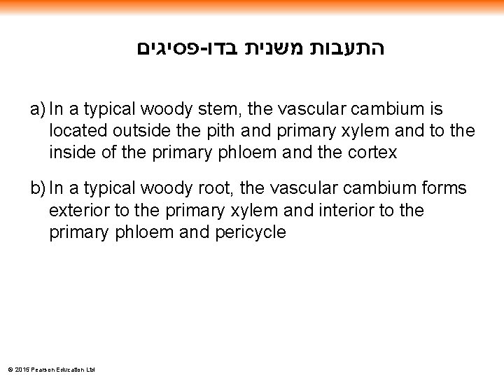  פסיגים - התעבות משנית בדו a) In a typical woody stem, the vascular