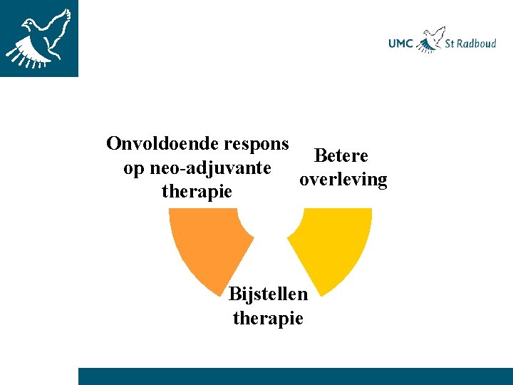 Onvoldoende respons Betere op neo-adjuvante overleving therapie Bijstellen therapie 