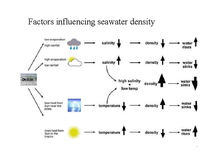 Factors influencing seawater density 