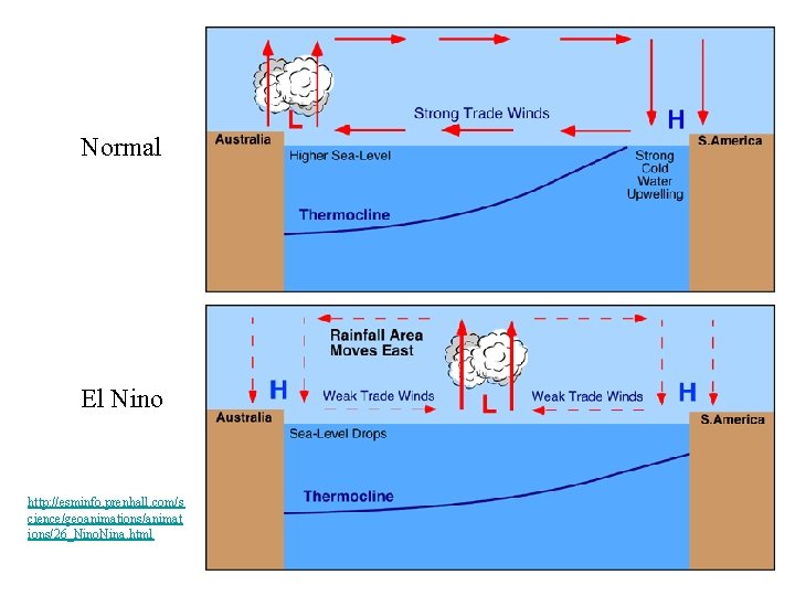 Normal El Nino http: //esminfo. prenhall. com/s cience/geoanimations/animat ions/26_Nino. Nina. html 