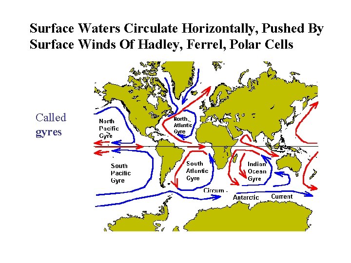 Surface Waters Circulate Horizontally, Pushed By Surface Winds Of Hadley, Ferrel, Polar Cells Called