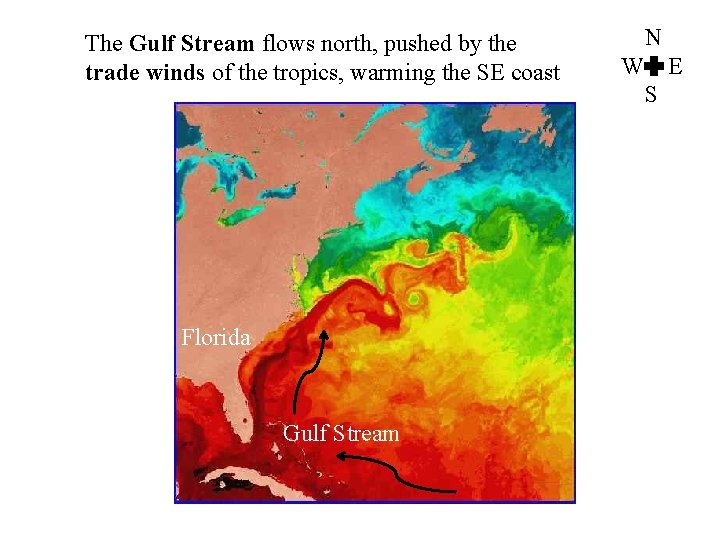 The Gulf Stream flows north, pushed by the trade winds of the tropics, warming