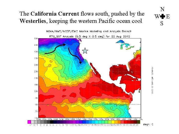 The California Current flows south, pushed by the Westerlies, keeping the western Pacific ocean