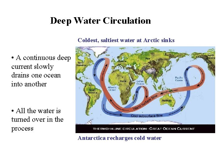 Deep Water Circulation Coldest, saltiest water at Arctic sinks • A continuous deep current