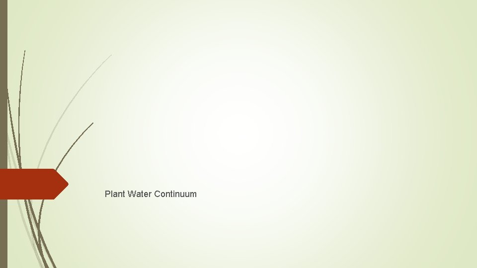 Plant Water Continuum 