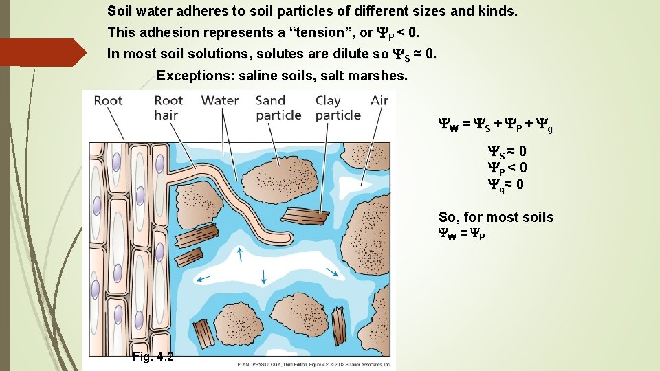 Soil water adheres to soil particles of different sizes and kinds. This adhesion represents