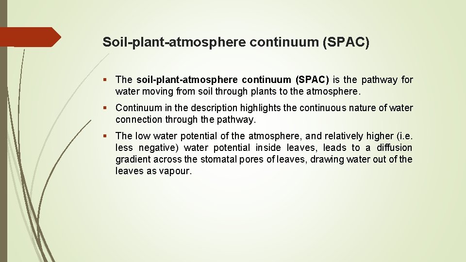 Soil-plant-atmosphere continuum (SPAC) § The soil-plant-atmosphere continuum (SPAC) is the pathway for water moving