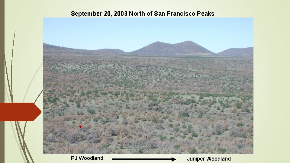 September 20, 2003 North of San Francisco Peaks PJ Woodland Juniper Woodland 