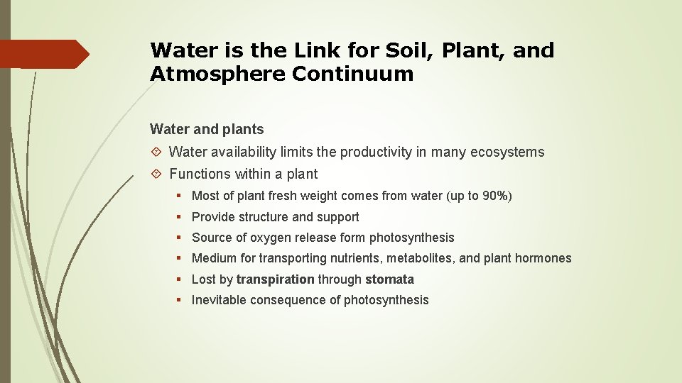 Water is the Link for Soil, Plant, and Atmosphere Continuum Water and plants Water