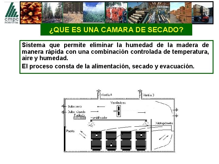 ¿QUE ES UNA CAMARA DE SECADO? Sistema que permite eliminar la humedad de la