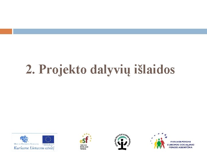 2. Projekto dalyvių išlaidos 