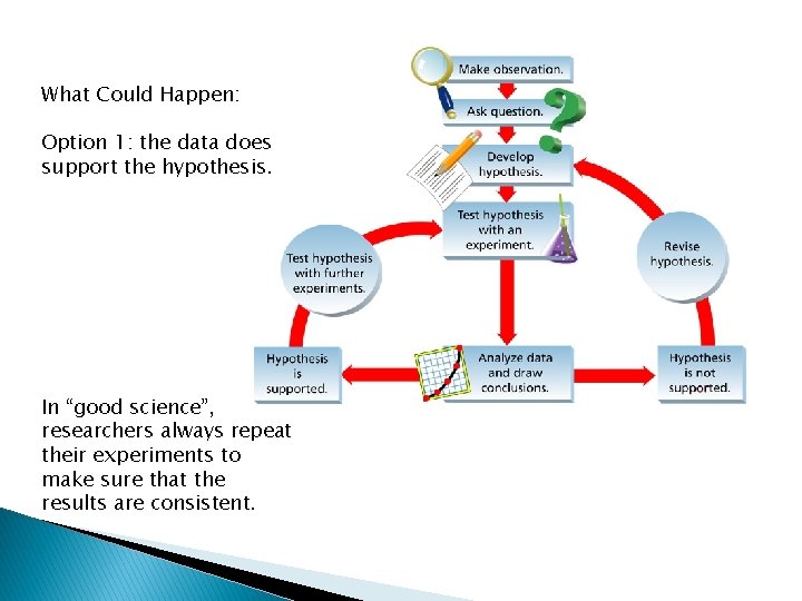 What Could Happen: Option 1: the data does support the hypothesis. In “good science”,