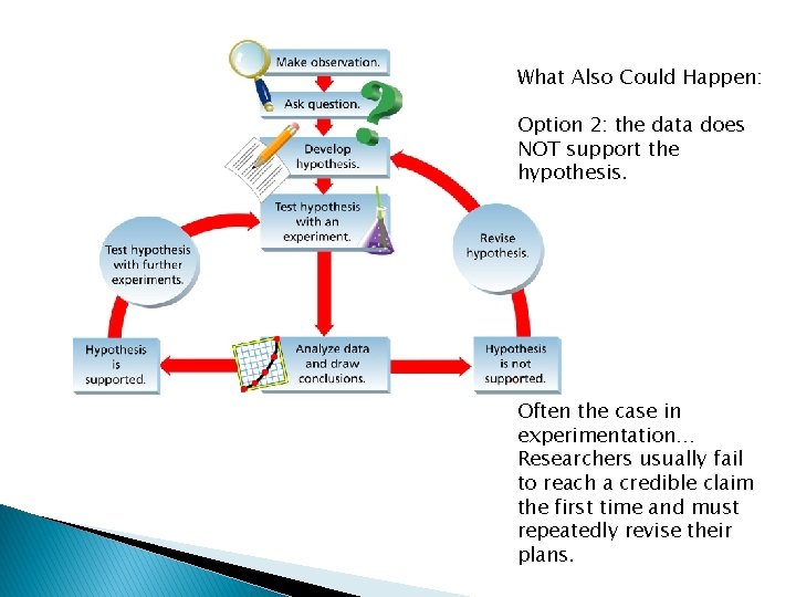 What Also Could Happen: Option 2: the data does NOT support the hypothesis. Often
