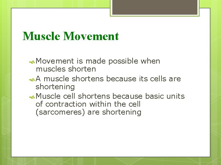 Muscle Movement is made possible when muscles shorten A muscle shortens because its cells Muscle Movement is made possible when muscles shorten A muscle shortens because its cells